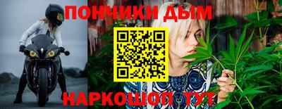 прущий лед Бийск