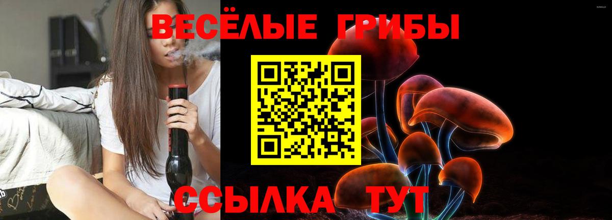 Псилоцибиновые грибы Magic Shrooms Ижевск